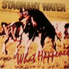 Nut Baby - Stagnant (H2O) Water from " What Happened ? " -1992