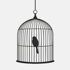 Bird Cage Thaumatrope