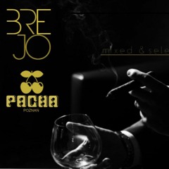 Pacha