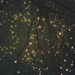 griboedova prospekt - агония