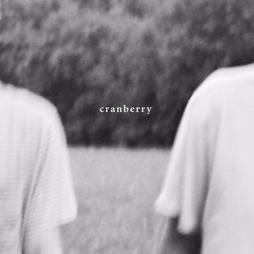 Hovvdy - In The Sun