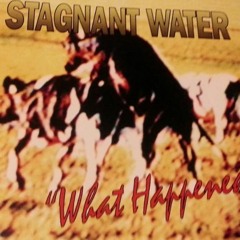 You Don't Care What It's Called - Stagnant (H2O) Water from " What Happened ? " -1992