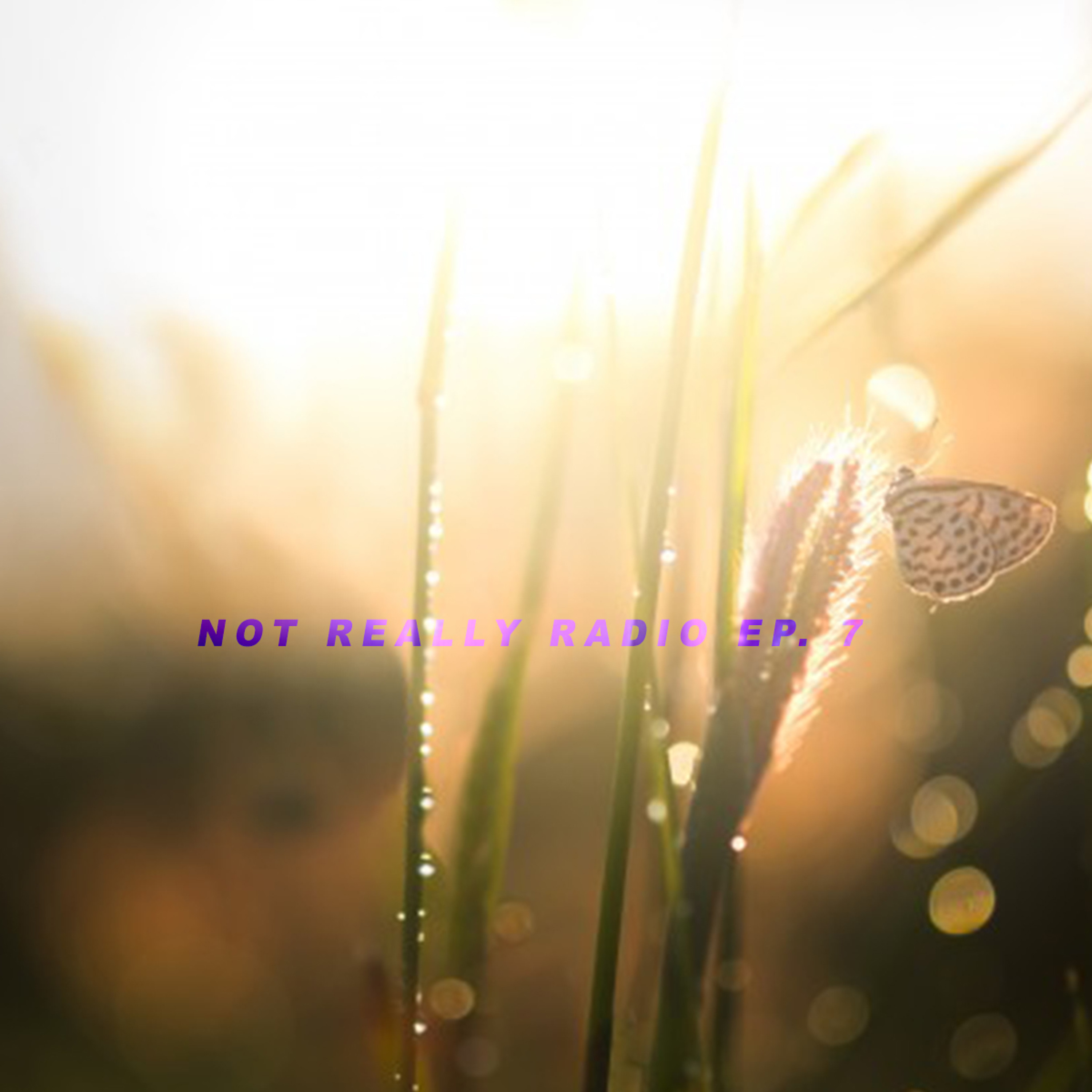 #NotReallyRadio Ep. 7 episode artwork