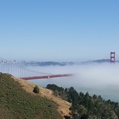 Marine Layer