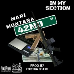 In My Section (Prod. By Foreign Beats)