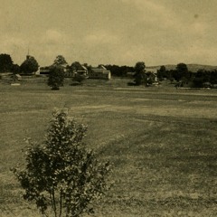 Simplify [Cover - Simplified] - Marina & The Diamonds