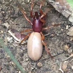 10/22-10/24/17 The Ricks and The Reckless