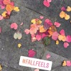 Fall Feels Mp3