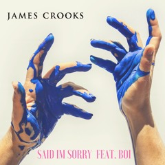 British India 'Said Im Sorry' Cover  Feat. BOI