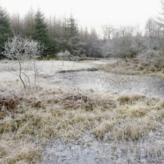 Cubbys Tarn (Excerpt) by Richard Skelton