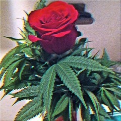 Interlude II