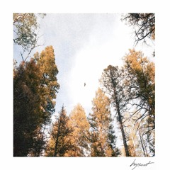 Clearing (feat. Maddie Megery)