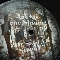 Jauzas The Shining And DynArec Gravity Waves Ship042