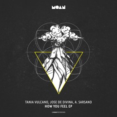 Tania Vulcano, Jose De Divina, Alessandro Sarsano - How You Feel (Original Mix)