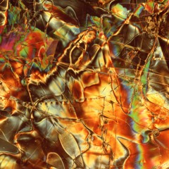 Whippoorwill (Under The Floorboards Version)