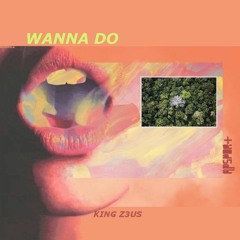 Wanna Do Ft. K!NG Z3U$