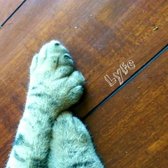 Like a Fluid ft. Aaron Zeitlin