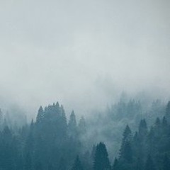 Dj0nt Atmo Test - Nolly Preset sd2 - Eleven Rack(clip)