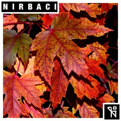 Nirbaci - Infection