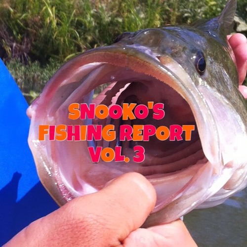 SNOOKO'S FISHING REPORT VOL. 3 GUEST MIX: ZHALO