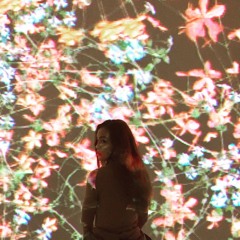 Make You Feel My Love cover by Bella Mobijohn