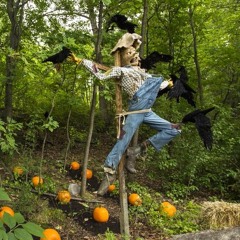 Farmers Ditch The Scarecrow, Bring Out The Big (Laser) Guns