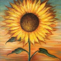 summer of sunflowers / flowerboy