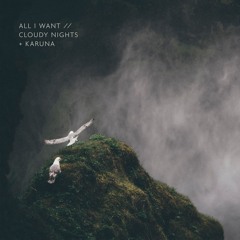 All I Want (w. Karuna)