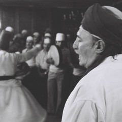 Kasîdeler - Urfalı Hâfız Hamid Belli