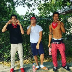 Institution Remix Sway & K9