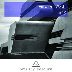 Primary [colours] Mix Series #19 - Silver Ash