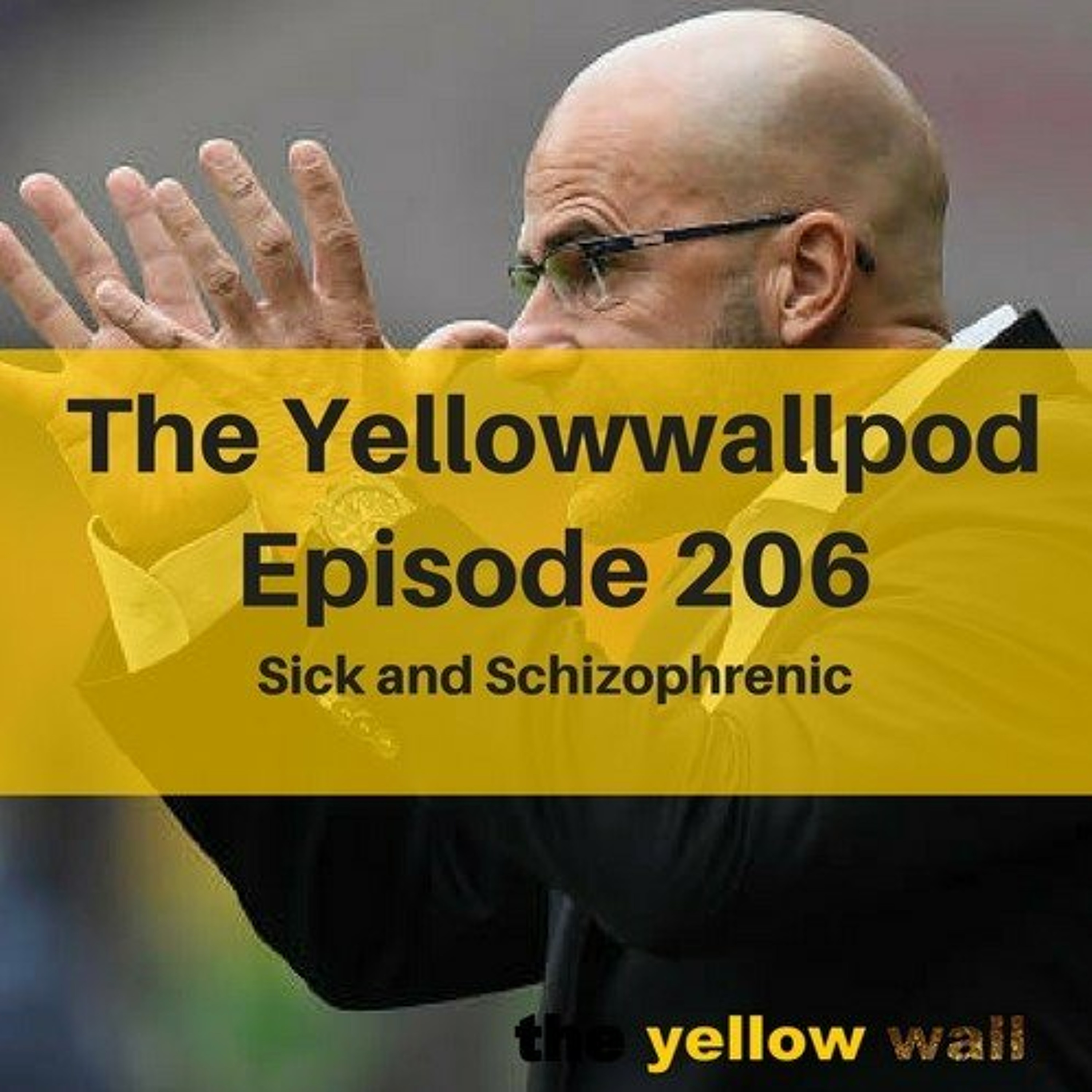 Yellowwallpod