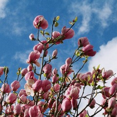 MY FUNNY VALENTINE // Cover