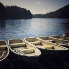 TV - CM 15Sec [DEMO]