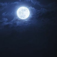 Dans La Chaleur Des Nuits de pleine Lune (Pauline Croze) with Cover So
