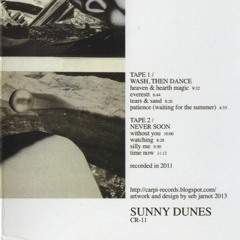 Sunny Dunes - Silly Me (Wash, Then Dance / Never Soon - Carpi Records - 2013)