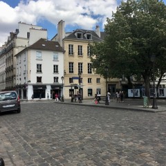 Traffic over the Parisian pavé