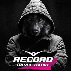 RECORD Megamix by AlexWOLF DOG ( 6 Feb. 2017 )
