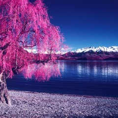 🌬 Frozen ❄ Interlude