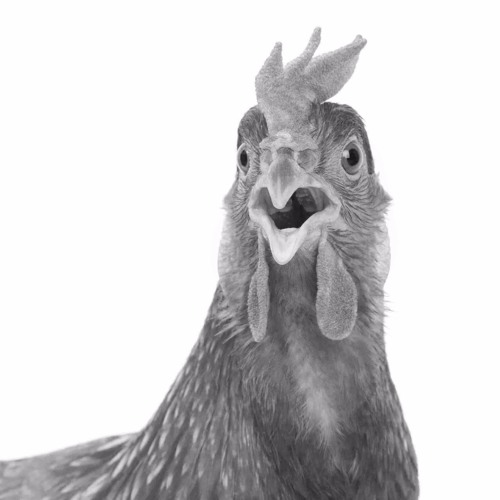 Old MacDonald (Phil Mac Remix)