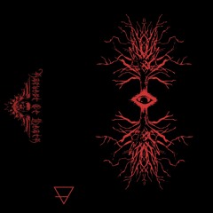 STAGNAT (POR) Nihilversum - [2017]