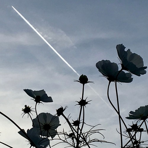 A.M. - Pièce pour violon et un avion qui passe.