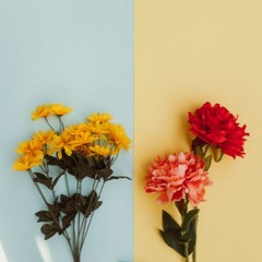 CHRIS - Se Você Quiser (Cover - Gssis)