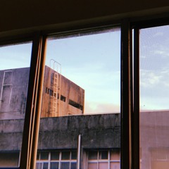 鴿子 (Short cover)