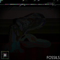 FOSSILS