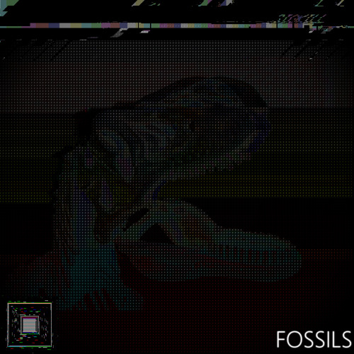 FOSSILS