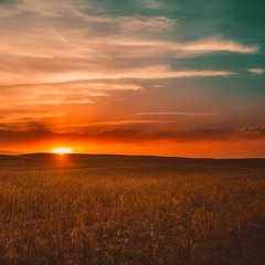 عرفتك حرا - أبو مازن