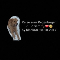 Reise zum Regenbogen    R.I.P. Sam🐾❤❤❤