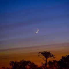 달을 보는 아이 (Child of watching the moon)