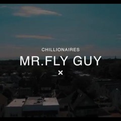 Mr. Fly Guy